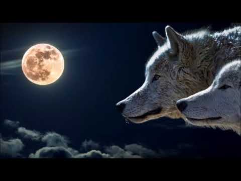 Wayra Ly - O Lay Aleloya