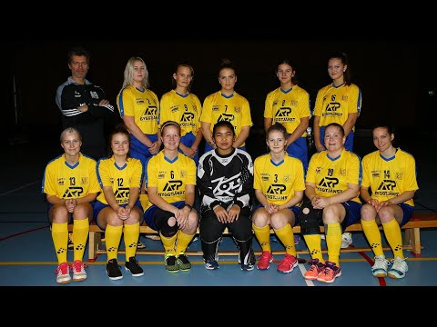 IBK Svala VS. Westerviks IBK (200301)