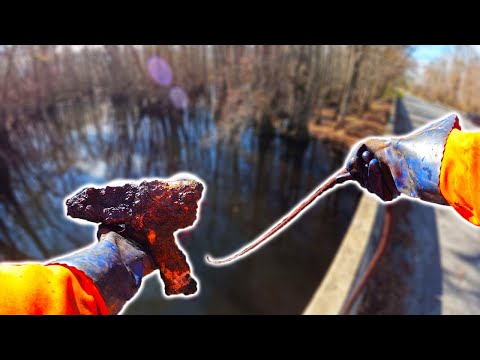 This Spot is LOADED! MAGNET FISHING In The SWAMP!! (JACKPOT)