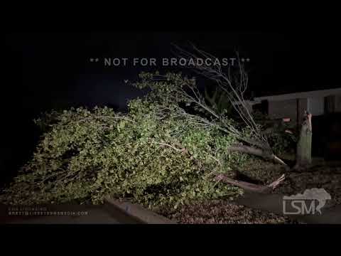 09-09-2023 Fort Worth, TX  - Trees Down From Severe Thunderstorm