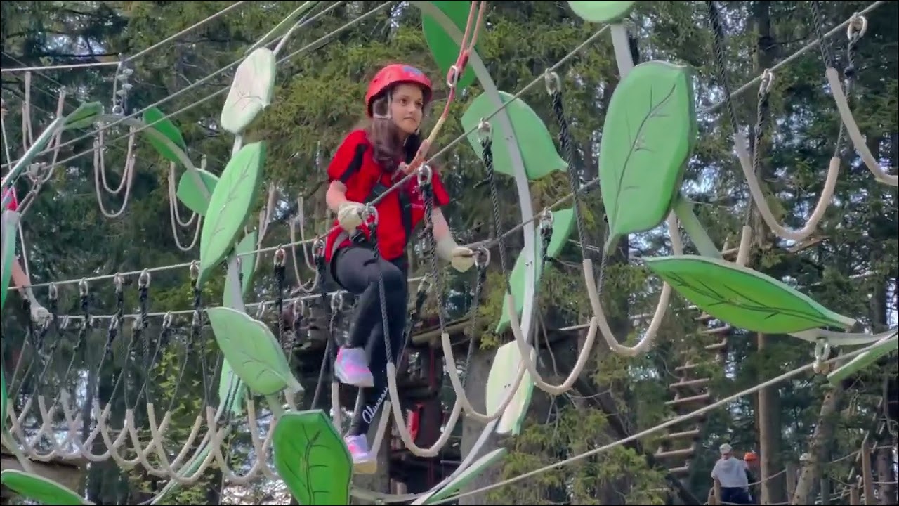 Pilatus Adventure Park combines excitement and natural beauty for unforgettable memories.