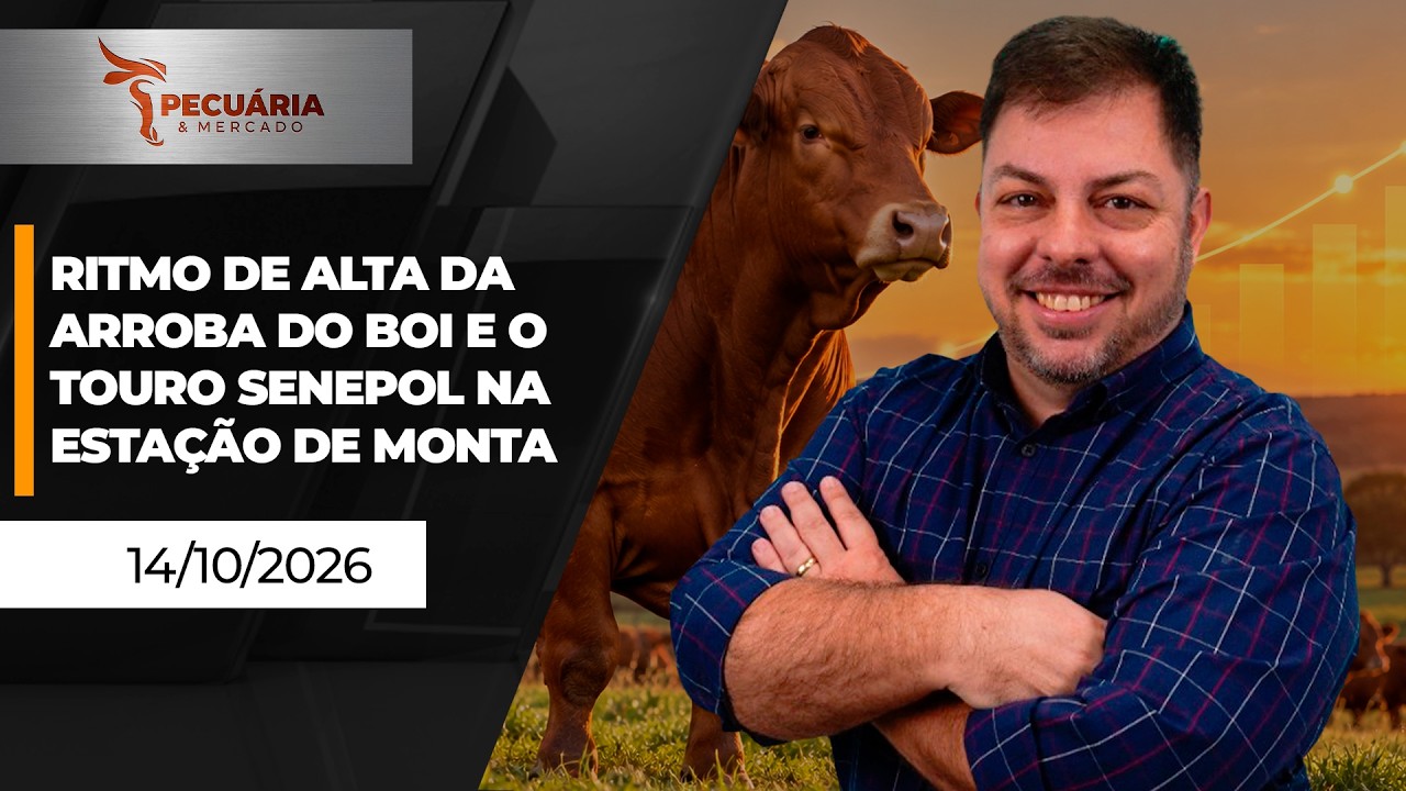 PECUÁRIA & MERCADO - EDIÇÃO 14-10-2026