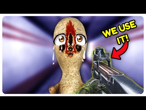 🔴SCP But WE ARE the NTF