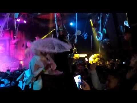 MADNESS IN LIMA ELROW (FARROWEST) WITH RIVA STARR