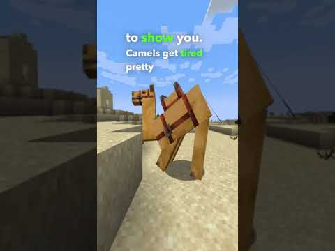 Minecraft 1.20 Camel Facts & Features