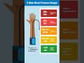 What S A Normal Blood Pressure Range