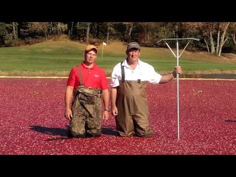 Southers Marsh Golf Course Playing Through