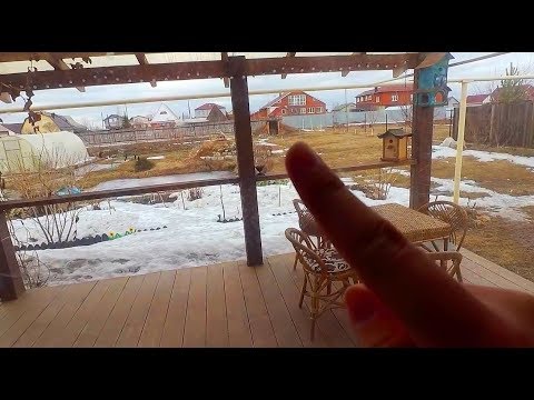 VLOG: НАША ДЫРОЧКА! ЙОРКИ! 21.03.20