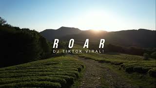 Download lagu DJ VIRAL TIKTOK ROAR REMIX AWAN AXELLO 2022... mp3