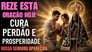 Nossa Senhora Aparecida: Rompe as Correntes da Inveja e Abre os Portões da Fartura 🙏.