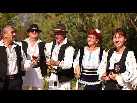 Marian Radici -  Cand petrec cu lumea buna  / CONTACT SOLIST 0763808730