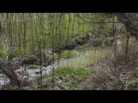 Nacimiento del Río Zapardiel (4 de Abril de 2013)