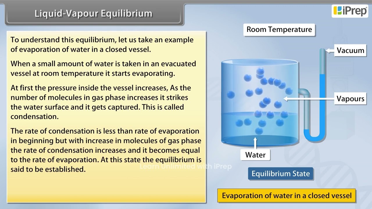Liquid - Vapour Equilibrium | Equilibrium | Chemistry | Class 11th | iPrep