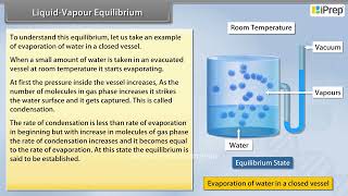 Liquid - Vapour Equilibrium | Equilibrium | Chemistry | Class 11th | iPrep