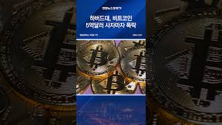 하버드대, 비트코인 5억달러 사자마자 폭락