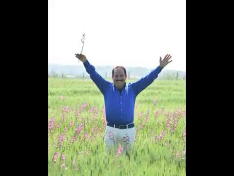 Orchestra Silvestro Folk - I capill e Cuncettina