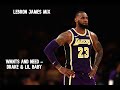LEBRON JAMES MIX WANTS AND NEED DRAK LEBRON JAMES MIX WANTS AND NEED DRAK
