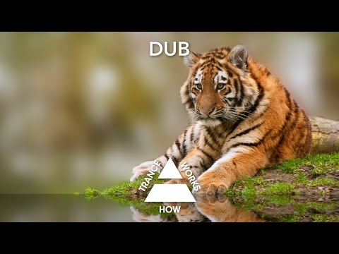 Talla 2xlc & Sarah Russell - Build These Walls (Dub)