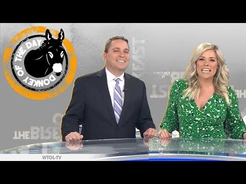 Watch lagu Images Videos Wtol News Cat, Watch Images Wtol News Cat free Watch Images, Watch Images Wtol News Cat