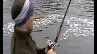 preview picture of video 'Fishing for sea trout in River Lule, Boden, Swedish Lapland (Norrbotten)'