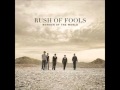 Rush of fools - Wonder of the world