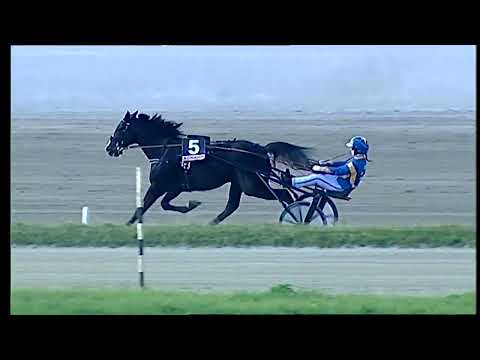 Napoli Trotto 25/02/2022 - 2ª corsa