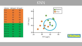 K nearest neighbors (KNN) - explained | validation