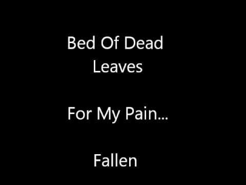 Bed Of Dead Leaves cover