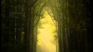 Aes Dana - Ethereal Visions Part II (HD)