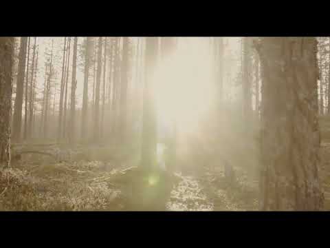 Melodic House Techno 2024 Vol 3 (Tinlicker/Craig Connelly/Fun Factory)