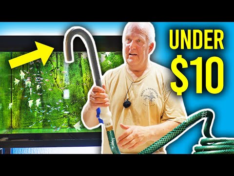 Make Water Changes EASY with THIS.