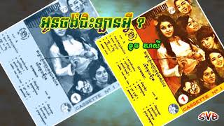 Oun Chong Chis Lan Avei ? / អូនចង់ជិះឡានអ្វី ? - ទូច សាលី