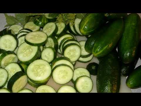 download lagu mp3 mp4 Cucumber Before Bed, download lagu Cucumber Before Bed gratis, unduh video klip Cucumber Before Bed