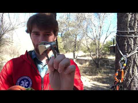 Black Diamond ATC and Petzl Reverso