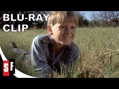 The Great Waldo Pepper (1975) - Clip: Gas Can Scooter (HD)