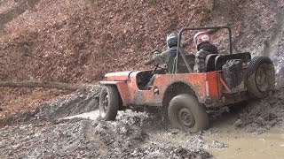 Willys Jeep Off-Road at Haspin Acres - Mud, Hill Climbs, and Flex