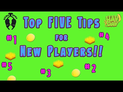 Hay Day-Top FIVE Tips for NEW Players!!