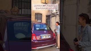 ガン見する猫😽俺の車にゃん🚗#フランス #猫 #プロヴァンス #南フランス