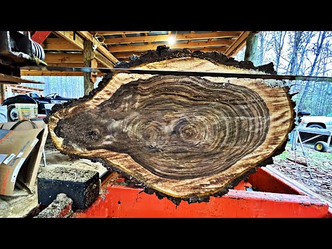 This Log Made me Nervous - Rare Walnut on the Sawmill