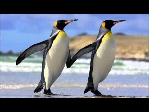 BTID Athems (Autumn Mixes)