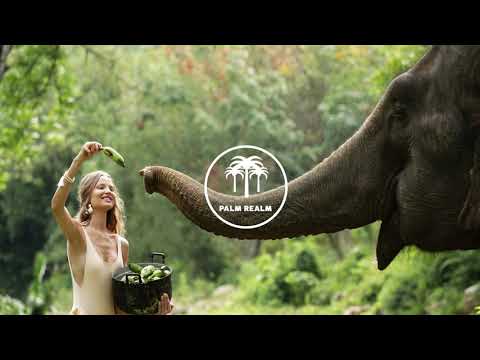 Golden Record  - TEEMID (Hello From The Children Of Planet Earth)