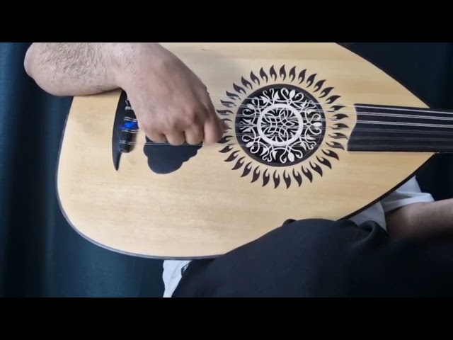 عود موسيقي رضا مرسي