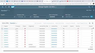 SAP S/4HANA - Supplier Line Items Report