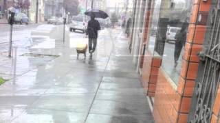 Jerry Garcia Band-Mission in the Rain