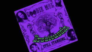 Goodie Mob - The Experience (screwed and chopped)