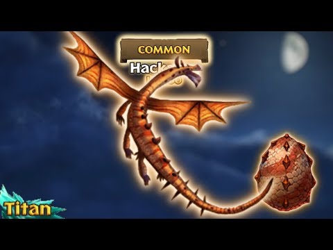Hackatoo Max Level 150 Titan Mode | Dragons: Rise of Berk