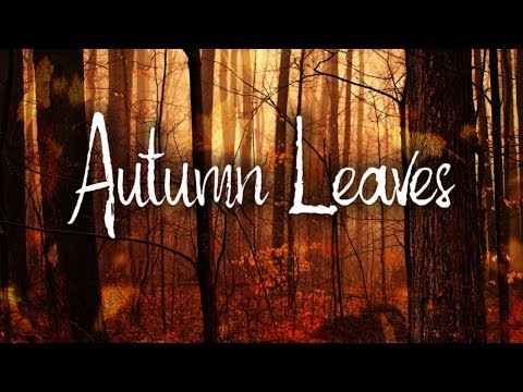 Autumn Leaves | Eva Cassidy Karaoke