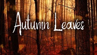 Autumn Leaves | Eva Cassidy Karaoke
