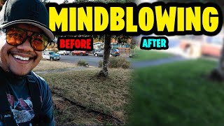 Mind Blowing Before and After Results on Friend's Lawn!