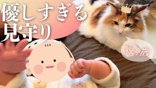 妊娠中に甘えん坊になった北欧猫、赤ちゃん誕生後の「神対応」が凄すぎた…★スピカ5歳誕生日記念★【保護猫/黒猫&シャム猫/シャムミックス&ノルウェージャンフォレストキャット】 #cat